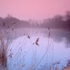 Pastel Morning